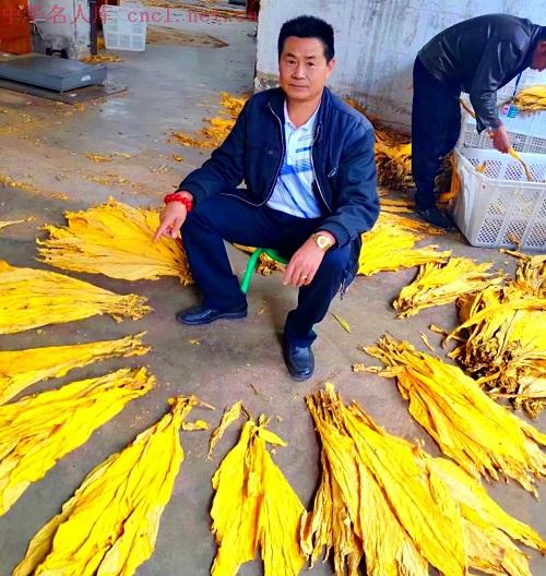 徐正林（中华名人库）