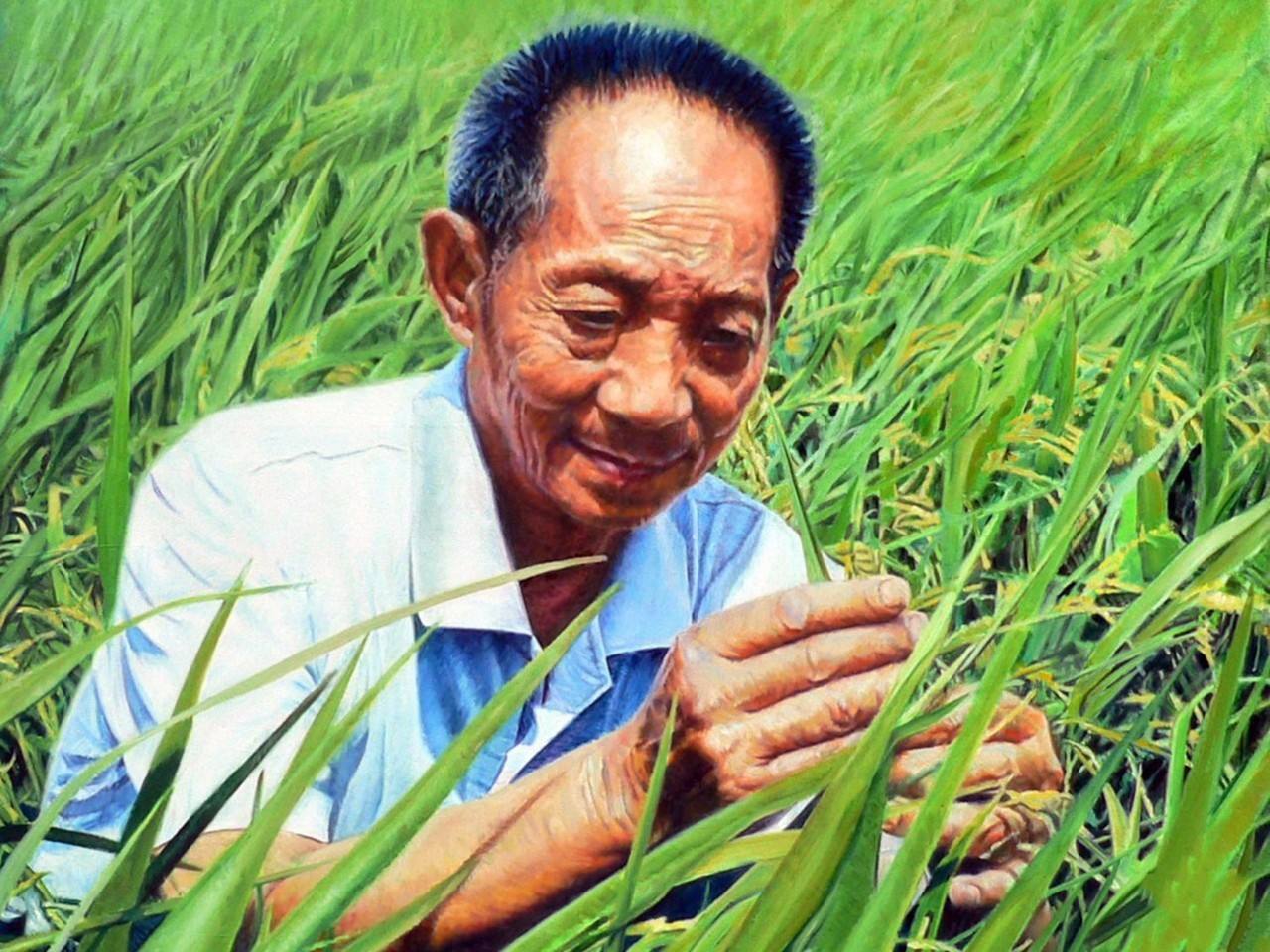 北京大学邓兴旺/何航团队揭示杂交水稻杂种优势位点形成遗传机制 - 生物通